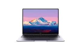 Ноутбук Huawei MateBook B5-430 Gray (53013FCQ)